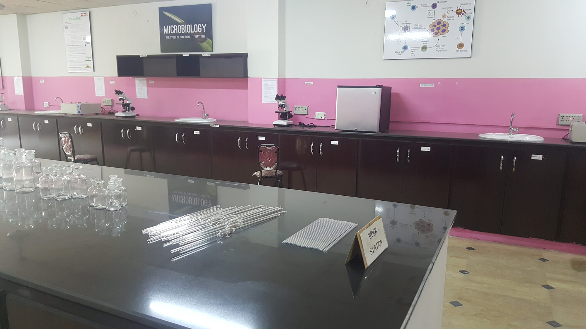 Microbiology Lab 8